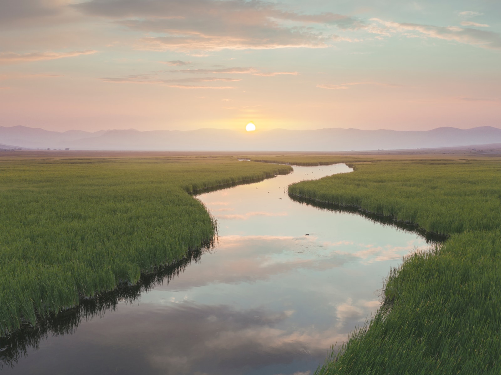 características 20mpx cámara Mavic 2